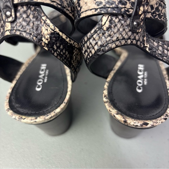Coach Pipher Women's Heels Sandals 6.5B Black Snake Print Ankle Buckle Block - Picture 8 of 11